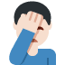 :man_facepalming:t2: :man_facepalming:t2: